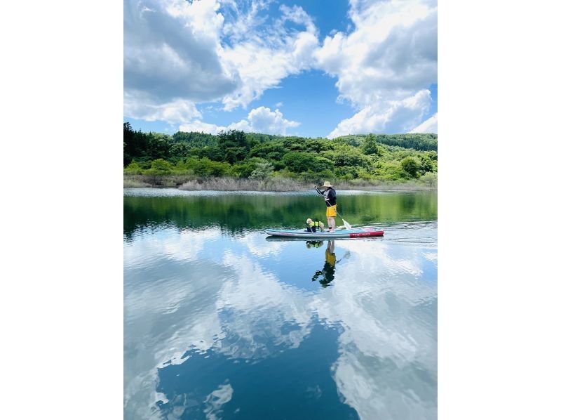 [宮城/仙台]空手山谷和瀑布觀賞狗SUP之旅免費照片禮物！の紹介画像