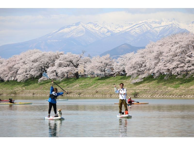 [宮城/仙台]空手山谷和瀑布觀賞狗SUP之旅免費照片禮物！の紹介画像