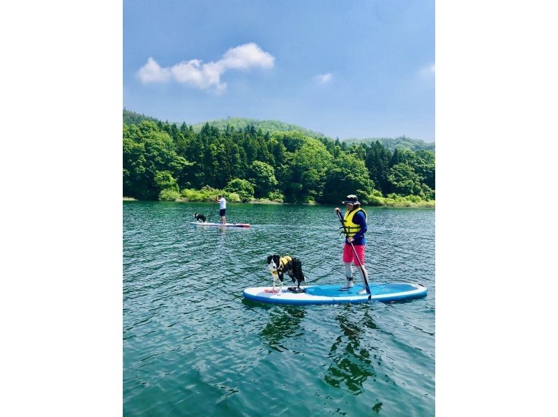 [宮城/仙台]空手山谷和瀑布觀賞狗SUP之旅免費照片禮物！の紹介画像