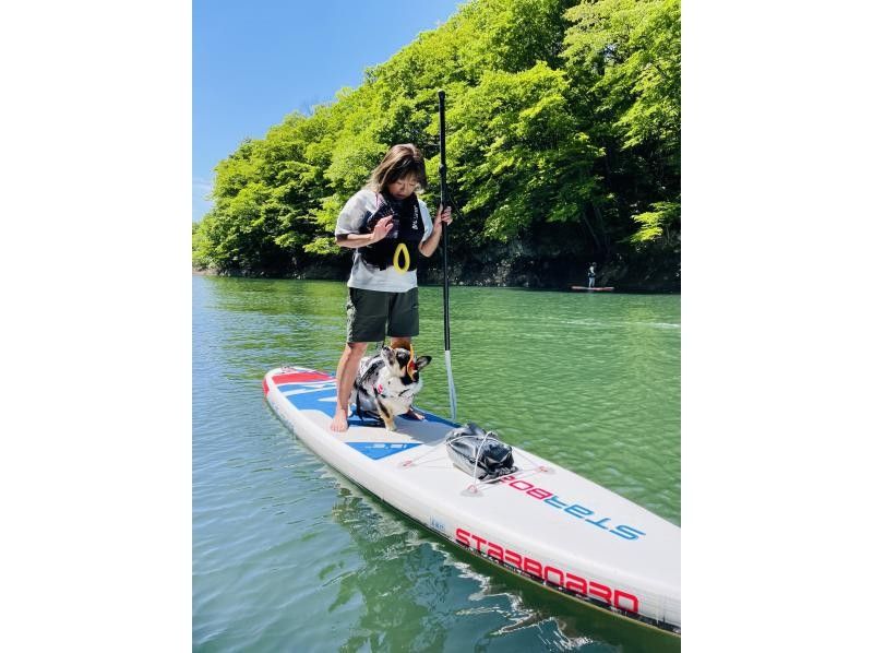 [宮城/仙台]空手山谷和瀑布觀賞狗SUP之旅免費照片禮物！の紹介画像