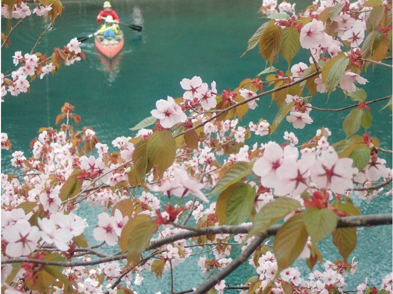 【北海道・支笏湖】ほぼ1組限定！国内トップクラスの美しさを誇る支笏湖を堪能！美味しい飲み物を味わいながらカヌーのうえでひとやすみしませんか？の紹介画像