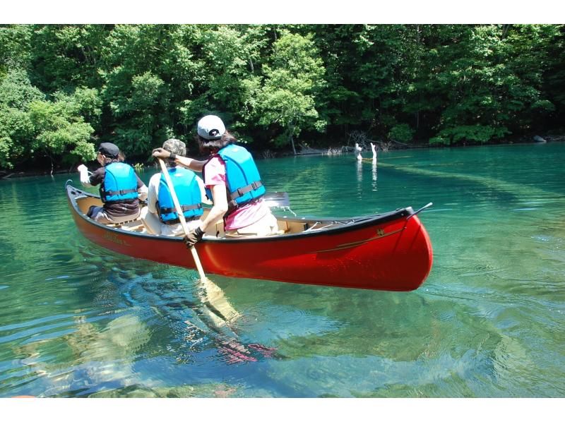 【北海道・支笏湖】ほぼ1組限定！国内トップクラスの美しさを誇る支笏湖を堪能！美味しい飲み物を味わいながらカヌーのうえでひとやすみしませんか？の紹介画像