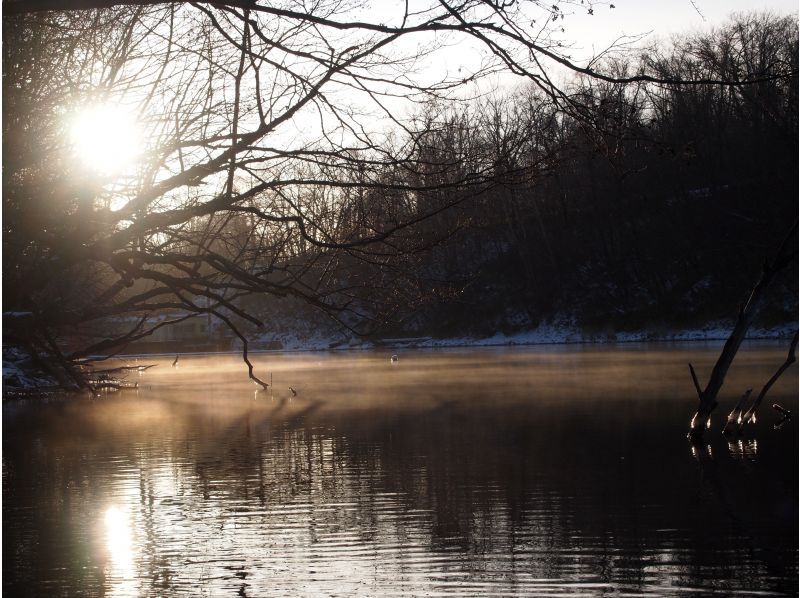 【北海道・支笏湖】ほぼ1組限定！国内トップクラスの美しさを誇る支笏湖を堪能！美味しい飲み物を味わいながらカヌーのうえでひとやすみしませんか？の紹介画像