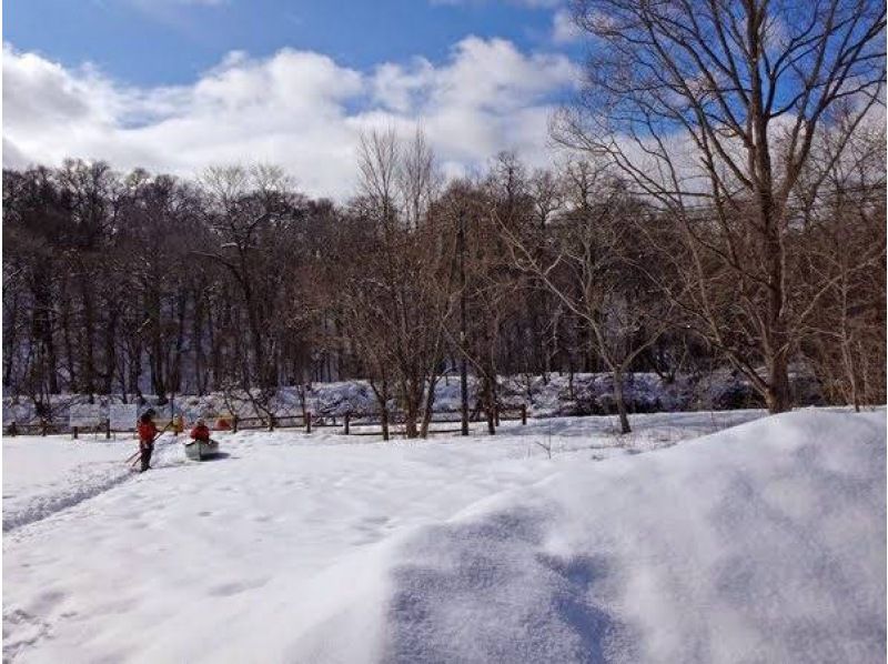 【北海道・千歳川・春夏秋冬カヌー】1組限定！自家焙煎コーヒータイムあり！ガイド同乗で安心♪日本トップレベルの清流・千歳川でカヌー！の紹介画像
