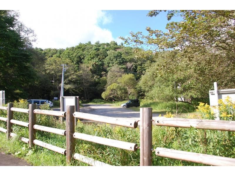 【北海道・千歳川・春夏秋冬カヌー】1組限定！自家焙煎コーヒータイムあり！ガイド同乗で安心♪日本トップレベルの清流・千歳川でカヌー！の紹介画像