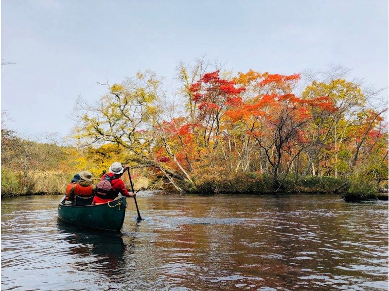 【北海道・千歳川・春夏秋冬カヌー】1組限定！自家焙煎コーヒータイムあり！ガイド同乗で安心♪日本トップレベルの清流・千歳川でカヌー！の紹介画像