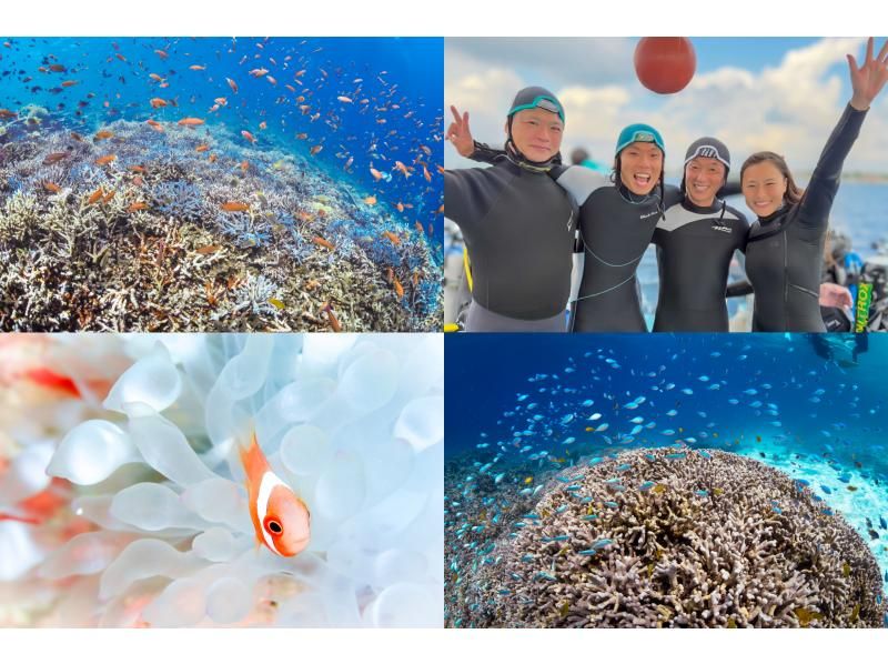 【沖縄・宮古島】宮古が誇る地形美や生物撮影を楽しもう！ファンダイビング（３ダイブ/ライセンス必須）の紹介画像
