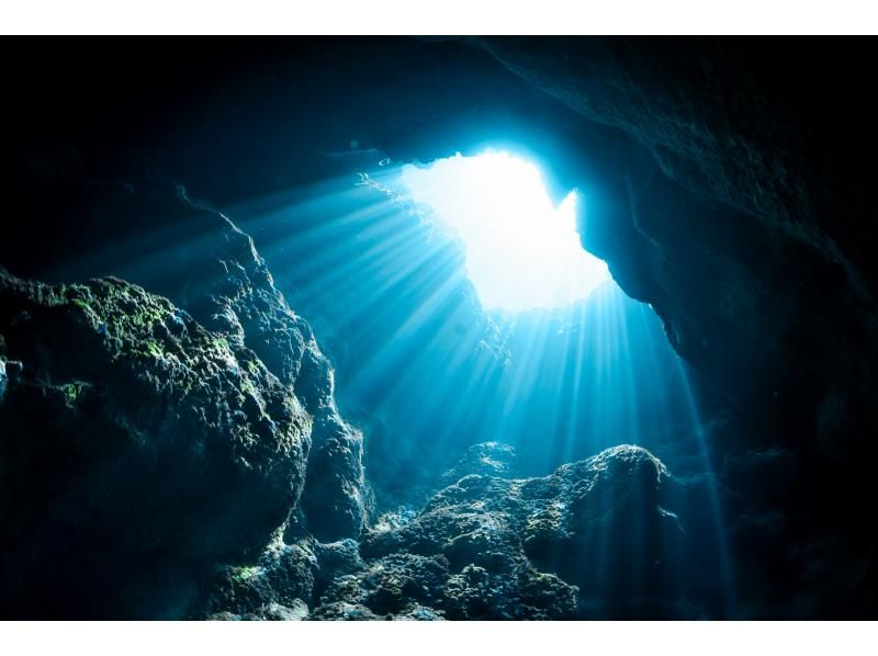 【沖縄・宮古島】★初回特典★フルレンタル器材無料！ファンダイビングツアー♪（３ダイブ/ライセンス必須）の紹介画像