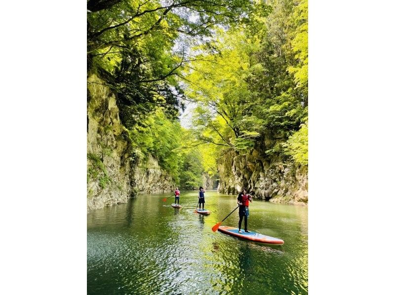 [宮城 / 仙台] 輕鬆的槳板之旅穿越峽谷和瀑布の紹介画像