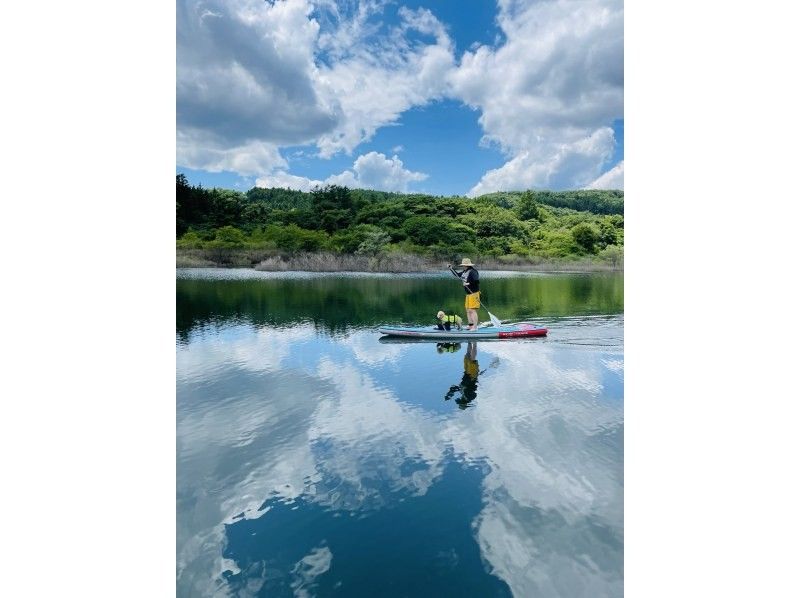 [宮城 / 仙台] 輕鬆的槳板之旅穿越峽谷和瀑布の紹介画像