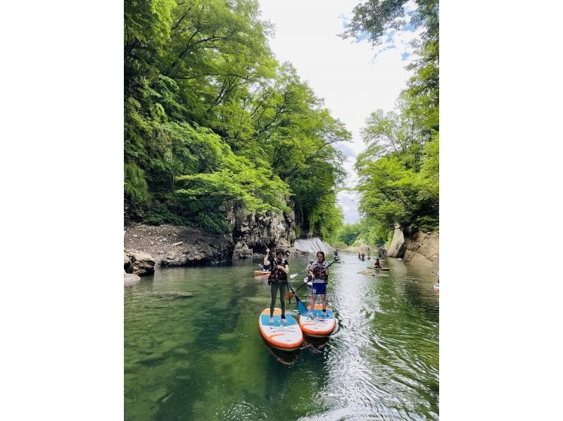 [宮城 / 仙台] 輕鬆的槳板之旅穿越峽谷和瀑布の紹介画像