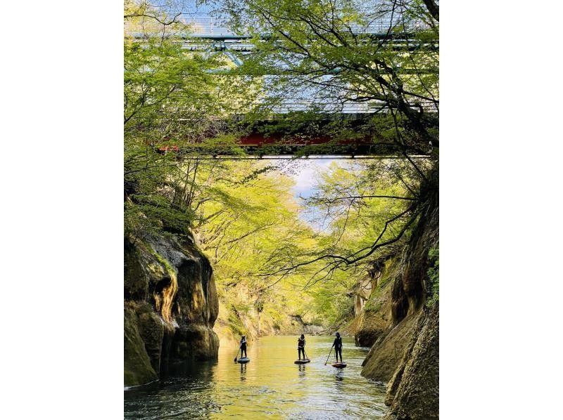 [宮城 / 仙台] 輕鬆的槳板之旅穿越峽谷和瀑布の紹介画像