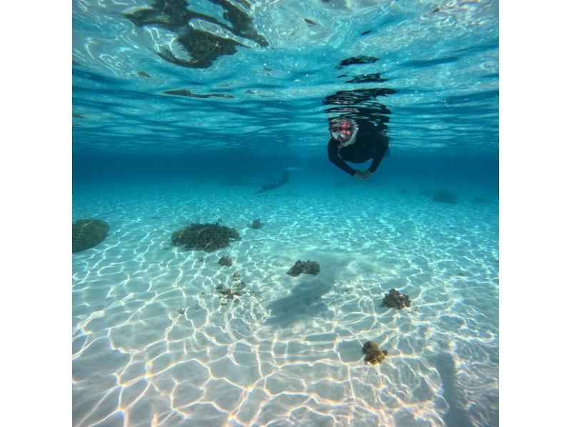 【沖縄・座間味島】ボートシュノーケリング3時間ツアー/手ぶら日帰りOK/撮影データ無料プレゼント/ボートでしか行けない場所へご案内します♪の紹介画像