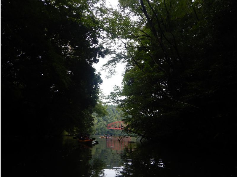[Kameyama Lake, Chiba] Recommended for autumn and winter: Kayaking on Lake Kameyama, half-day experienceの紹介画像
