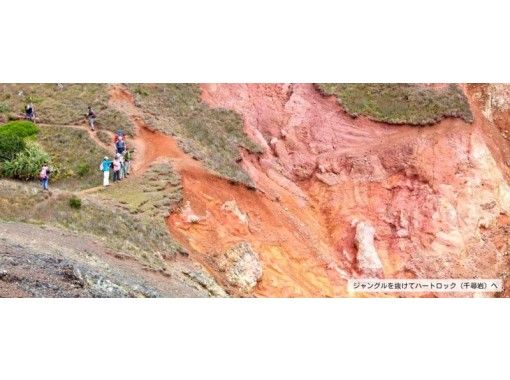 [Tokyo/Ogasawara] Jungle trekking on the island of Ogasawara enjoy plenty of one-day courses with guidance!の紹介画像