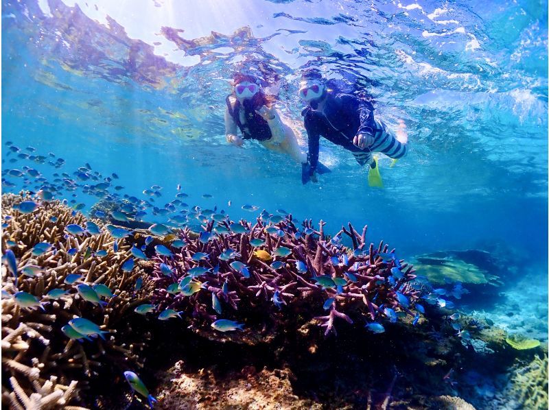 【ウミガメと泳ごう★少人数制】水中写真に自信あり！初心者・お子様も安心安全★宮古ブルーの海で泳ぐビーチシュノーケルツアーの紹介画像