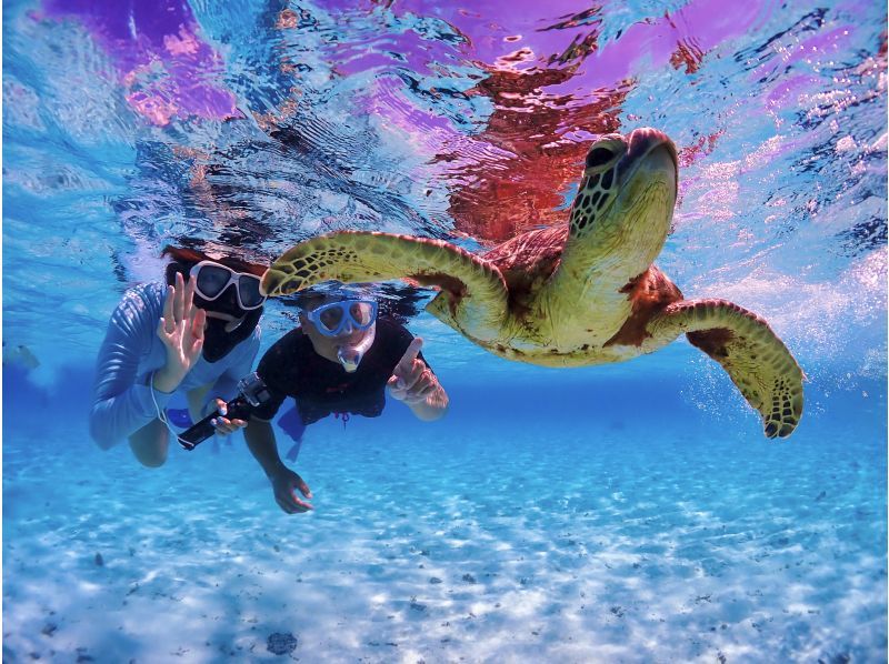 【ウミガメと泳ごう★少人数制】水中写真に自信あり！初心者・お子様も安心安全★宮古ブルーの海で泳ぐビーチシュノーケルツアーの紹介画像