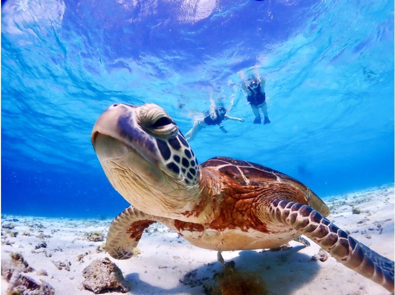 [Miyakojima] English and Chinese speaking available! Free underwater photos! High chance of encountering sea turtles on this small-group beach snorkeling tourの紹介画像