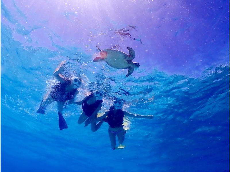 [Miyakojima] English and Chinese speaking available! Free underwater photos! High chance of encountering sea turtles on this small-group beach snorkeling tourの紹介画像