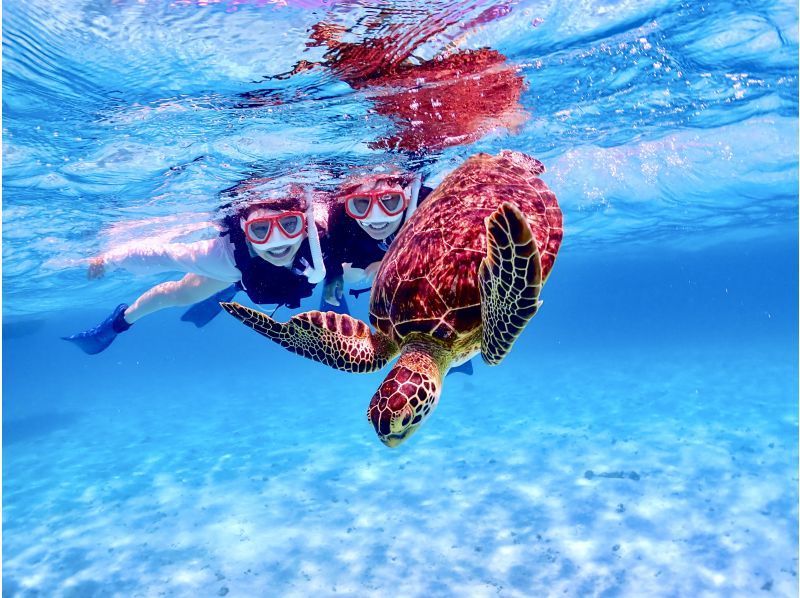 [Small group] Swim with sea turtles! We are confident in our underwater photos! Safe and secure for beginners and children ★ Beach snorkel tour to swim in the blue ocean of Miyakoの紹介画像