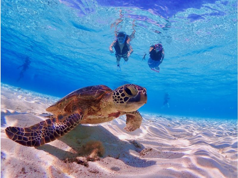 [Miyakojima] English and Chinese speaking available! Free underwater photos! High chance of encountering sea turtles on this small-group beach snorkeling tourの紹介画像