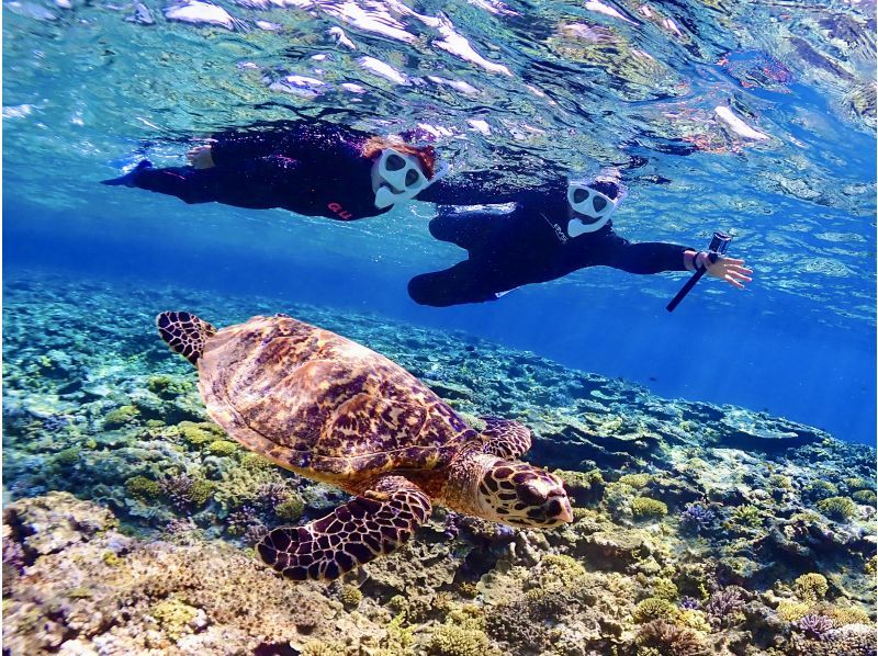 [Small group] Swim with sea turtles! We are confident in our underwater photos! Safe and secure for beginners and children ★ Beach snorkel tour to swim in the blue ocean of Miyakoの紹介画像