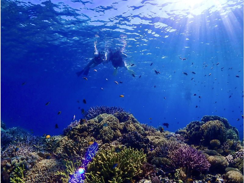 [Miyakojima] English and Chinese speaking available! Free underwater photos! High chance of encountering sea turtles on this small-group beach snorkeling tourの紹介画像