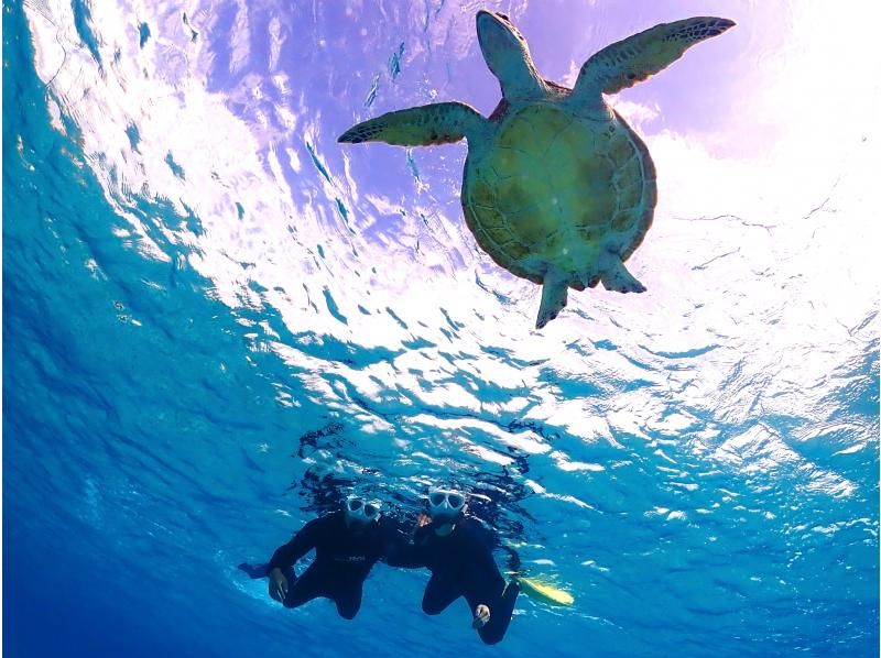 [Miyakojima] English and Chinese speaking available! Free underwater photos! High chance of encountering sea turtles on this small-group beach snorkeling tourの紹介画像