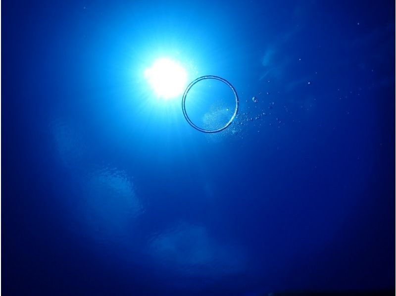 【沖縄・宜野湾】グループ貸切！！ボートシュノーケリング（写真データプレゼント・器材無料レンタル）の紹介画像