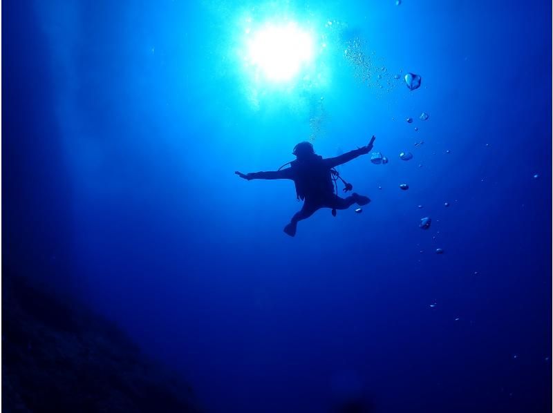 【沖縄・那覇発／慶良間】新規限定！慶良間諸島での体験ダイビング2DIVEツアー（写真データプレゼント・器材レンタル無料）の紹介画像