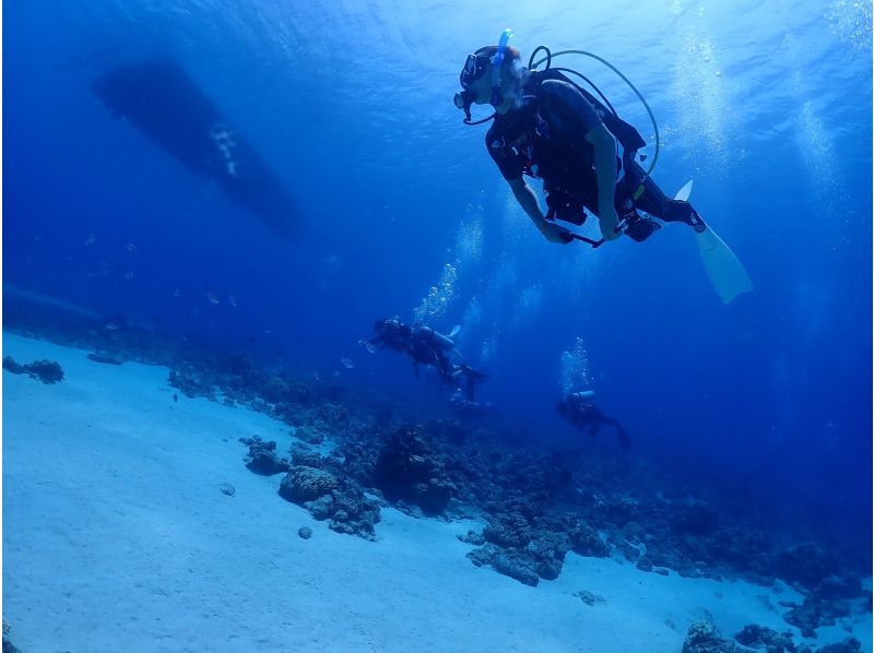 【沖縄・那覇発／慶良間】新規限定！慶良間諸島でのFUNダイビング2DIVEボートツアー（写真データプレゼント・器材レンタル無料）の紹介画像