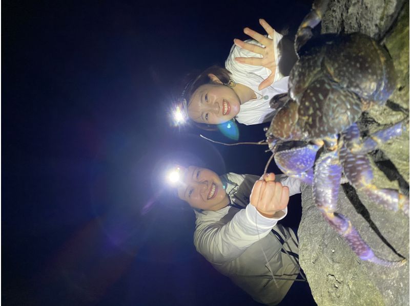 [One tour per day] Subtropical jungle night safari! Catch and eat shrimp! Golden prawns and coconut crabsの紹介画像