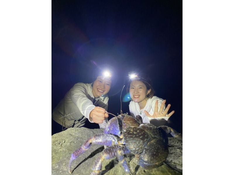Rain is OK! [Night Jungle Adventure] Search for coconut crabs, starry sky, and eat mantis shrimp! ? Very popular with families!の紹介画像