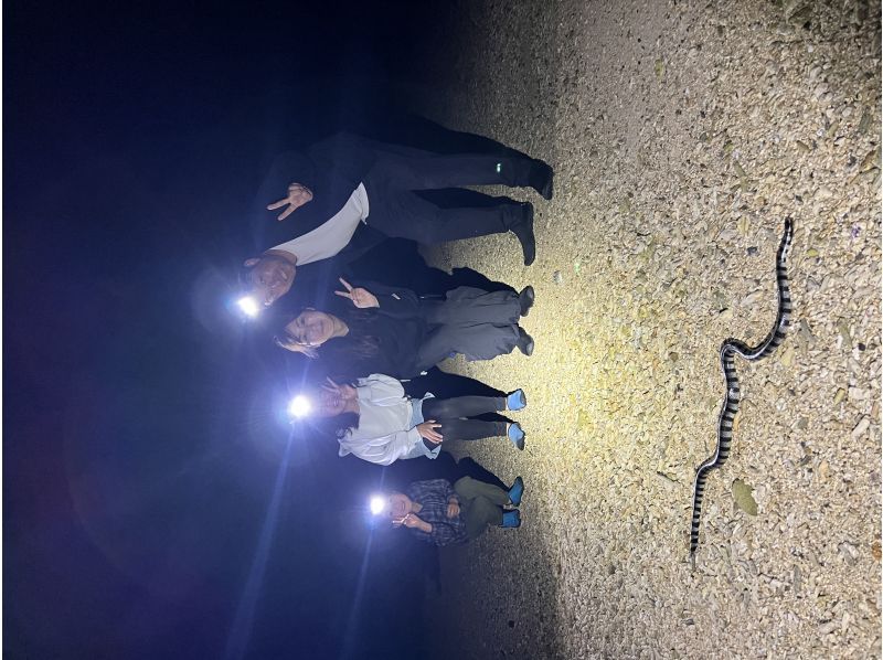 [One tour per day] Subtropical jungle night safari! Catch and eat shrimp! Golden prawns and coconut crabsの紹介画像