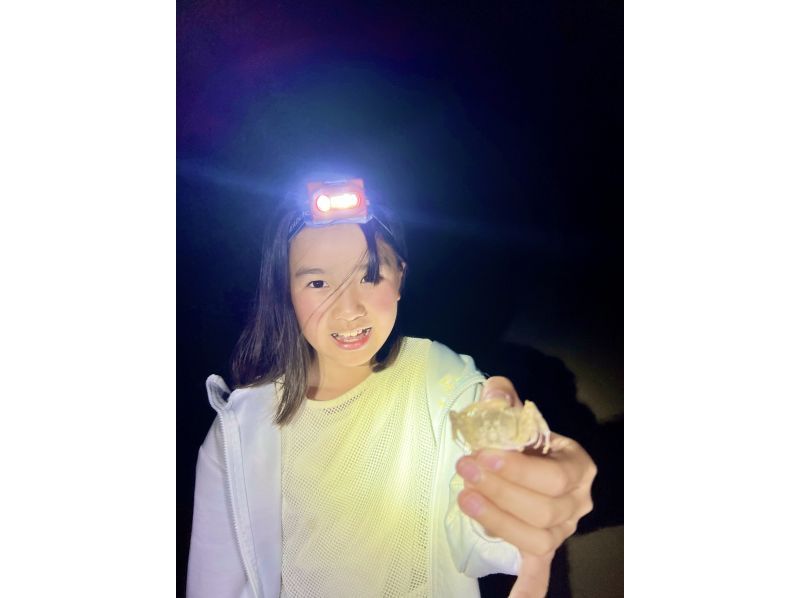 [100% chance of encountering coconut crabs!] Subtropical jungle night safari! Catch and eat fireflies, coconut crabs, and scampi! ★Children will love it too! ★Lowest price in the industry!の紹介画像
