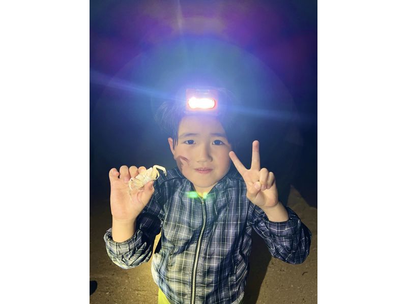 [100% chance of encountering coconut crabs!] Subtropical jungle night safari! Catch and eat fireflies, coconut crabs, and scampi! ★Children will love it too! ★Lowest price in the industry!の紹介画像