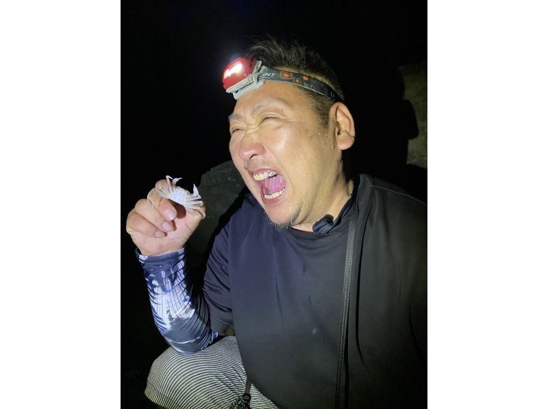 【家族に大人気】大冒険！亜熱帯ジャングルナイトサファリ！ホタル＆ヤシガニ＆手長海老とって食う！？★子供も嬉しい！★業界最安値！の紹介画像