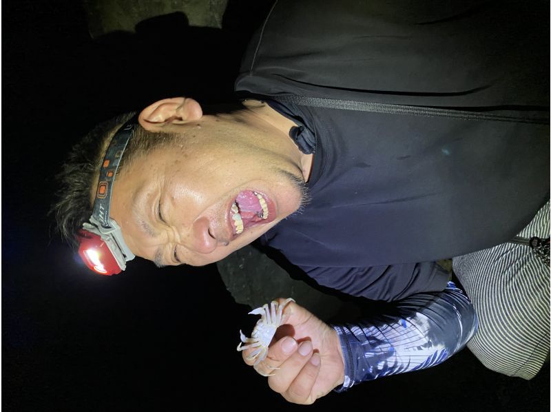 [100% chance of encountering coconut crabs!] Subtropical jungle night safari! Catch and eat fireflies, coconut crabs, and scampi! ★Children will love it too! ★Lowest price in the industry!の紹介画像