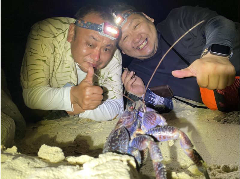 [เกาะอิชิงากิ | ผจญภัยในป่ายามค่ำคืน] ค้นหาปูมะพร้าวและชมท้องฟ้ายามค่ำคืนที่เต็มไปด้วยดวงดาว ★ กินกุ้งตั๊กแตนทันที ♪ ฮิตสุดๆ สำหรับครอบครัว! ⭐︎ทำได้แม้ในขณะฝนตก⭐︎の紹介画像