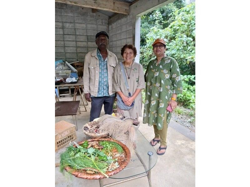 [Okinawa, Motobu] Tour of the Yanbaru forest with a local grandmother! [Freshly picked wild plant lunch & wild plant tea included] With an interpreter guideの紹介画像