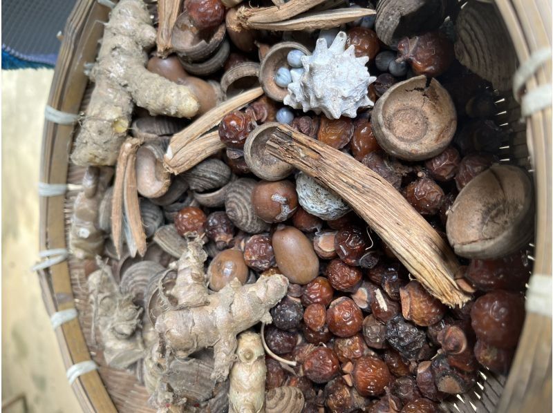 [Okinawa, Motobu] Tour of the Yanbaru forest with a local grandmother! [Freshly picked wild plant lunch & wild plant tea included] With an interpreter guideの紹介画像