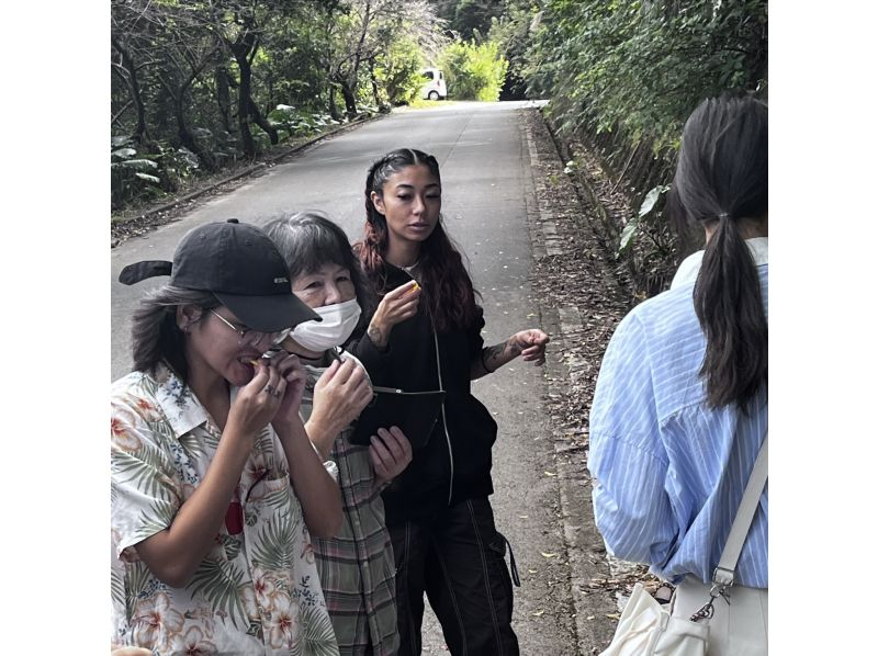 [Okinawa, Motobu] Tour of the Yanbaru forest with a local grandmother! [Freshly picked wild plant lunch & wild plant tea included] With an interpreter guideの紹介画像
