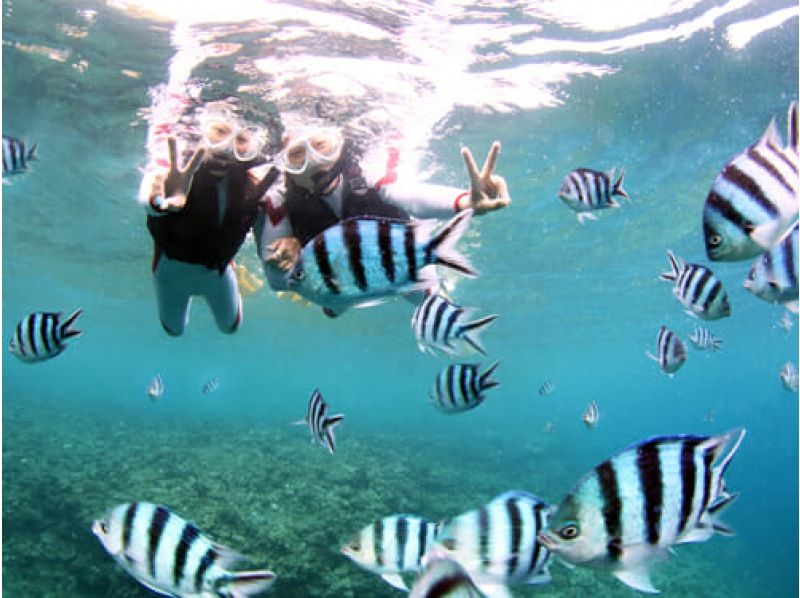 [Complete the 3 major activities◇1500 yen discount] Blue Cave Snorkeling & Parasailing & Thrilling Banana Boatの紹介画像