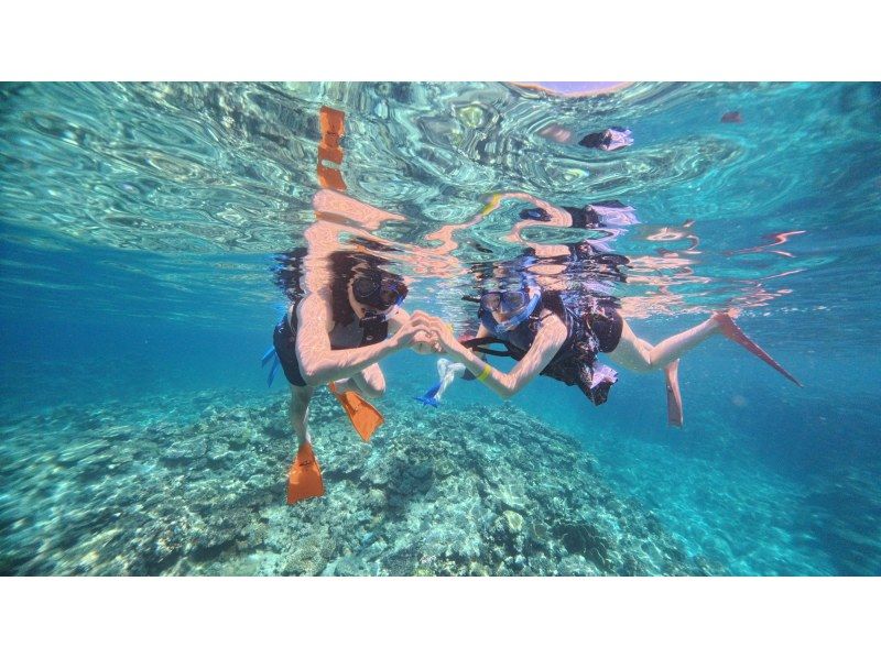 【沖縄県・那覇発】那覇市内送迎あり★慶良間諸島★半日ボートシュノーケリングツアーの紹介画像