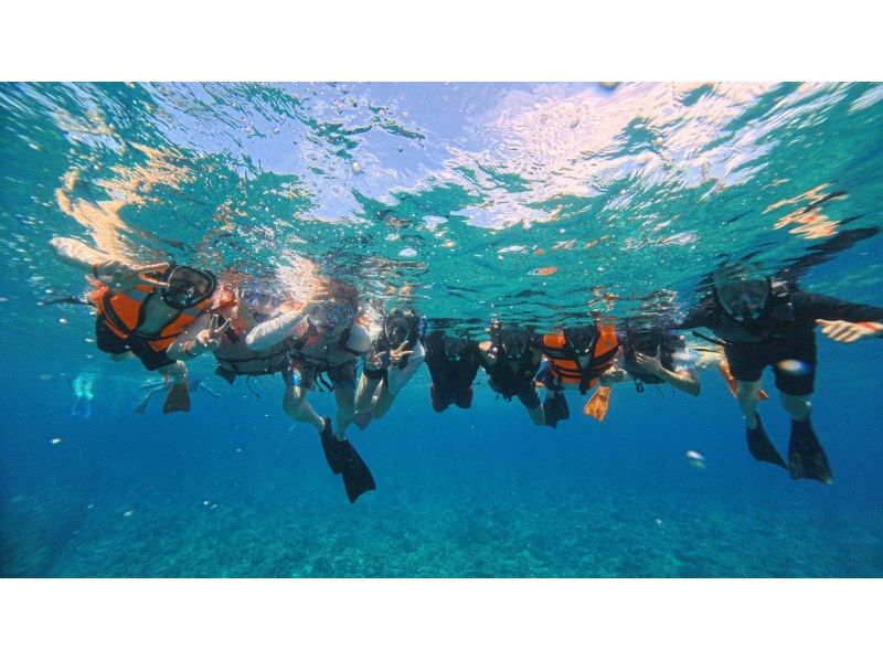 【沖縄県・那覇発】那覇市内送迎あり★慶良間諸島★半日ボートシュノーケリングツアーの紹介画像