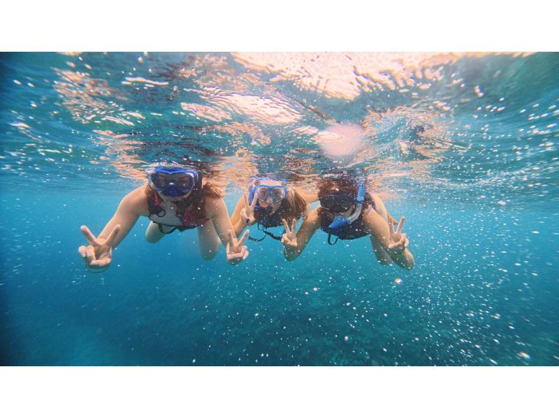 【沖縄県・那覇発】那覇市内送迎あり★慶良間諸島★半日ボートシュノーケリングツアーの紹介画像