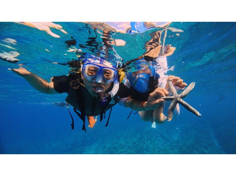 【沖縄県・那覇発】那覇市内送迎あり★慶良間諸島★半日ボートシュノーケリングツアーの紹介画像