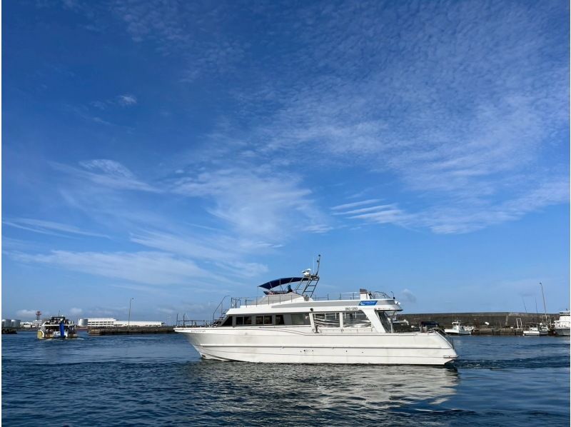 【沖縄県・那覇発】那覇市内送迎あり★慶良間諸島★半日ボートシュノーケリングツアーの紹介画像