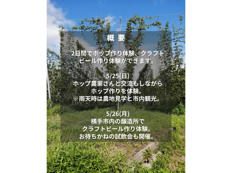 【秋田・横手】【7月】＜クラフトビール作り体験＞ホップ作りから醸造までを2日間で体験！農作業後や醸造樽を見ながら飲むビールは最高です！の紹介画像