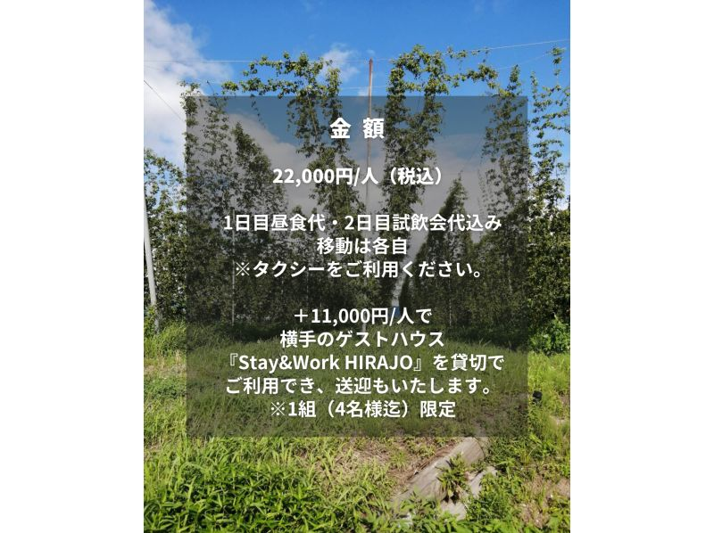 [Akita, Yokote] [May] <Craft beer making experience> Experience hop making to brewing in 2 days! Drinking beer after farm work while looking at the brewing barrels is the best!の紹介画像